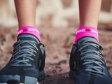 Compressport Pro Racing Socks v4.0 Run Low - fluo pink/primerose